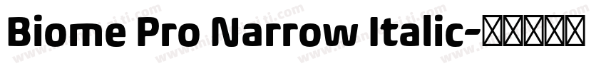 Biome Pro Narrow Italic字体转换